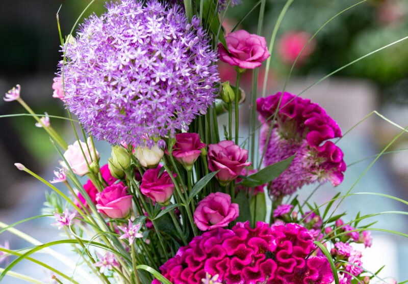 XXL bouquets with Allium & Agapanthus