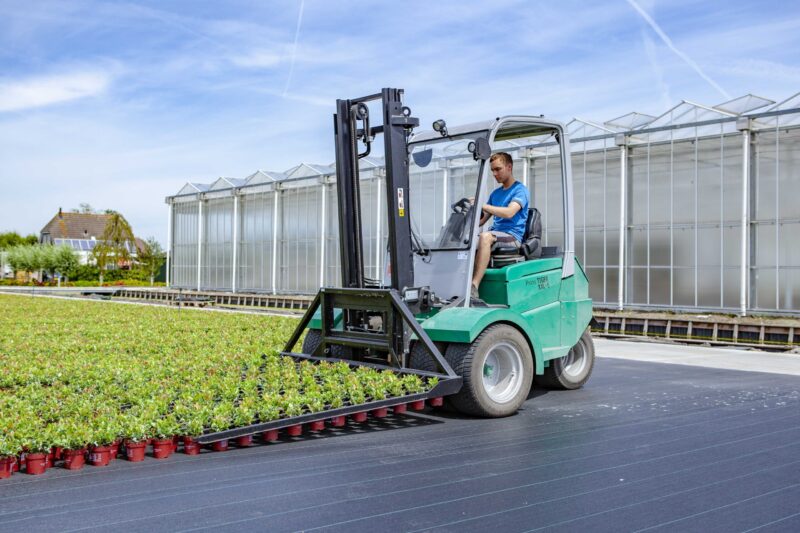 Streng Growers