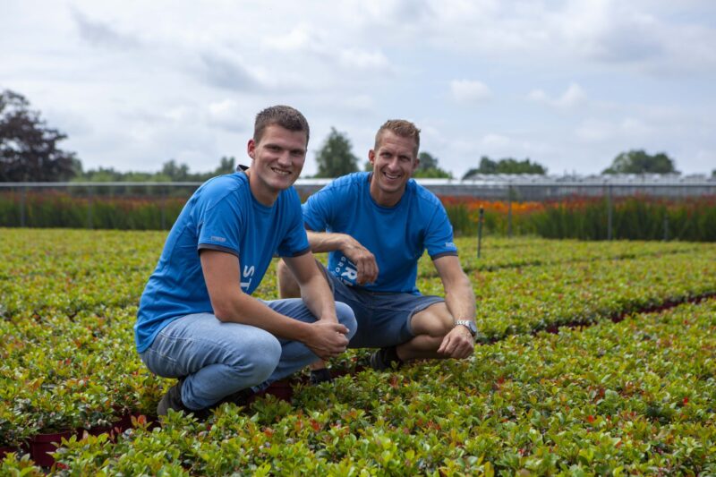 Streng Growers